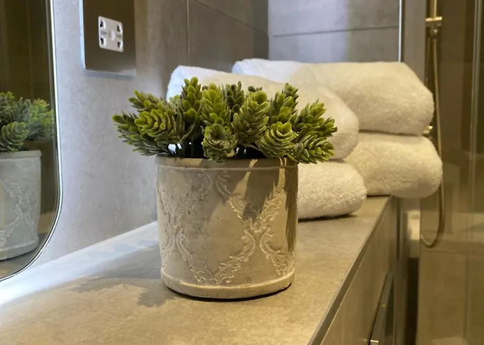 Luxury Apartment, Free Parking & Free Gym Appartement *